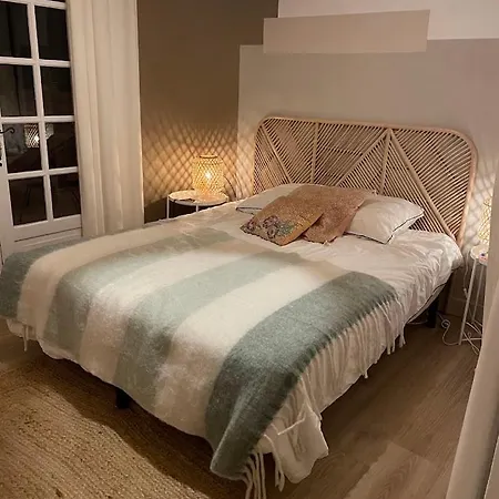 Villa Saint-cyprien Corse Lecci