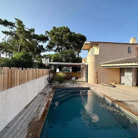 Villa Saint-cyprien Corse Lecci