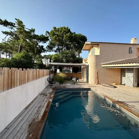 Saint-cyprien Corse Lecci