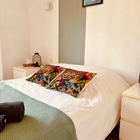 Saint-cyprien Corse Lecci