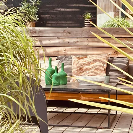 Villa Saint-cyprien Corse Lecci