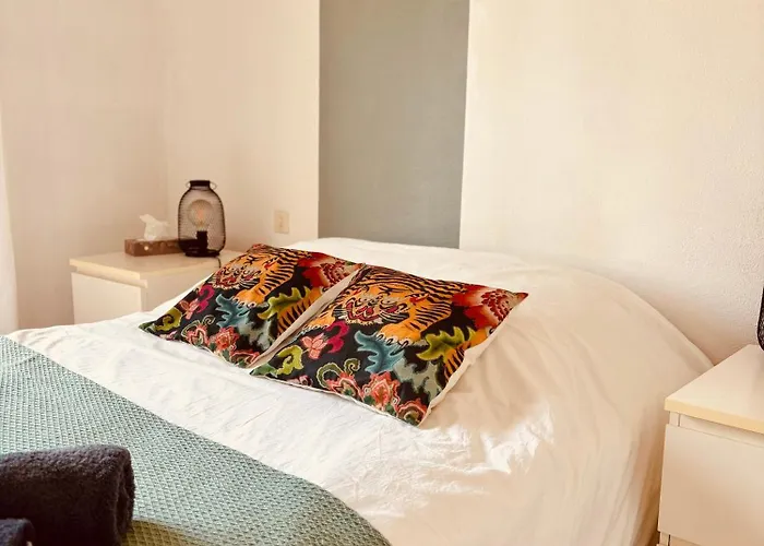 Saint-cyprien Corse Lecci